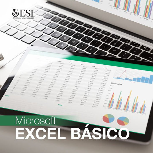 Excel Basico